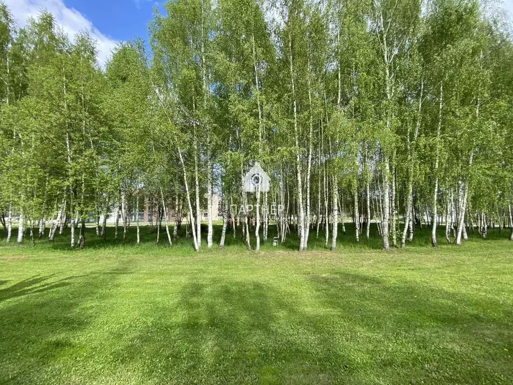 Участок в Владимирская область, Ковровский район, Доброград ... - Фото 1