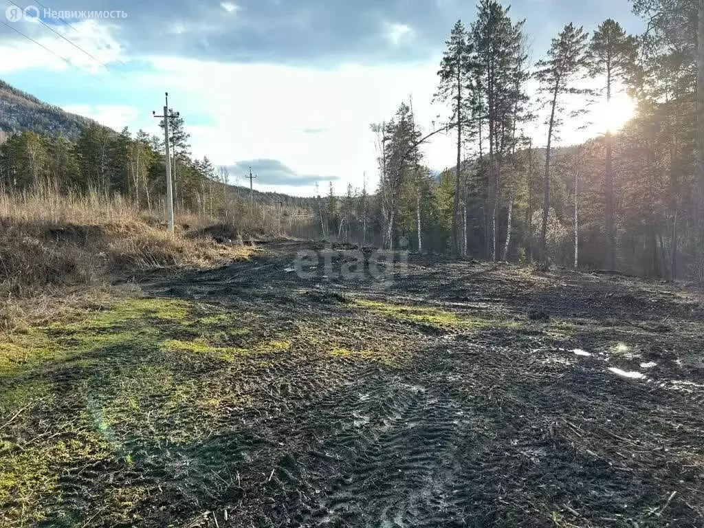Участок в Манжерокское сельское поселение, село Озёрное, Берёзовая ... - Фото 2