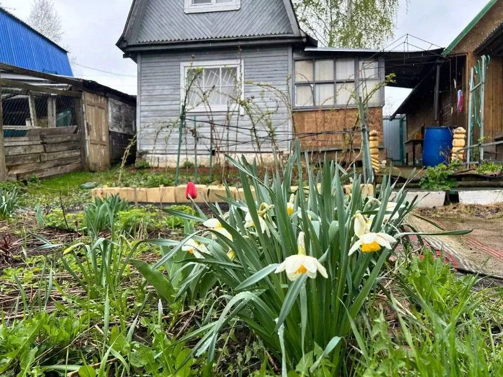 Дом в Нижегородская область, Балахна № 6 Рейд сад, 131 (33 м) - Фото 0