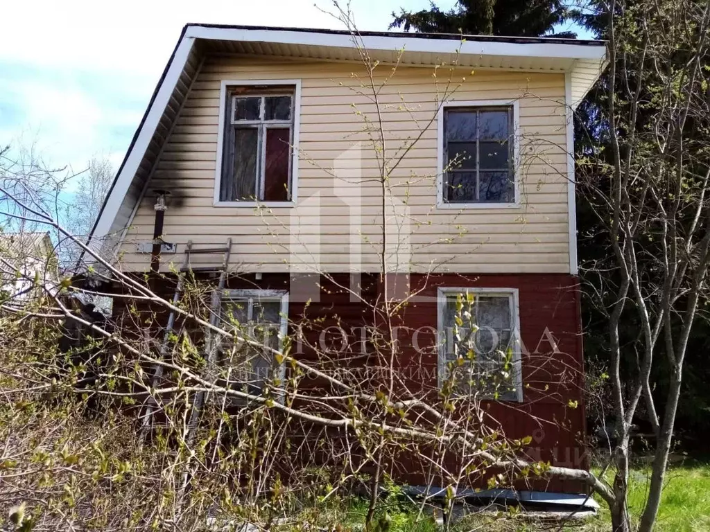 Участок в Ленинградская область, Всеволожский район, Куйвозовское ... - Фото 1