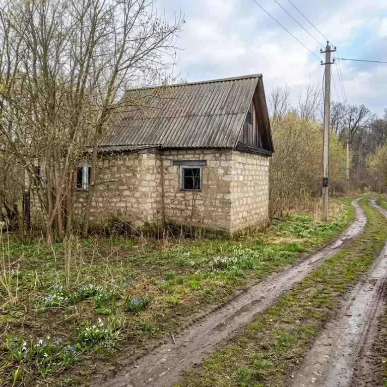 Участок в Оренбургская область, Оренбургский район, Ленинский ... - Фото 1