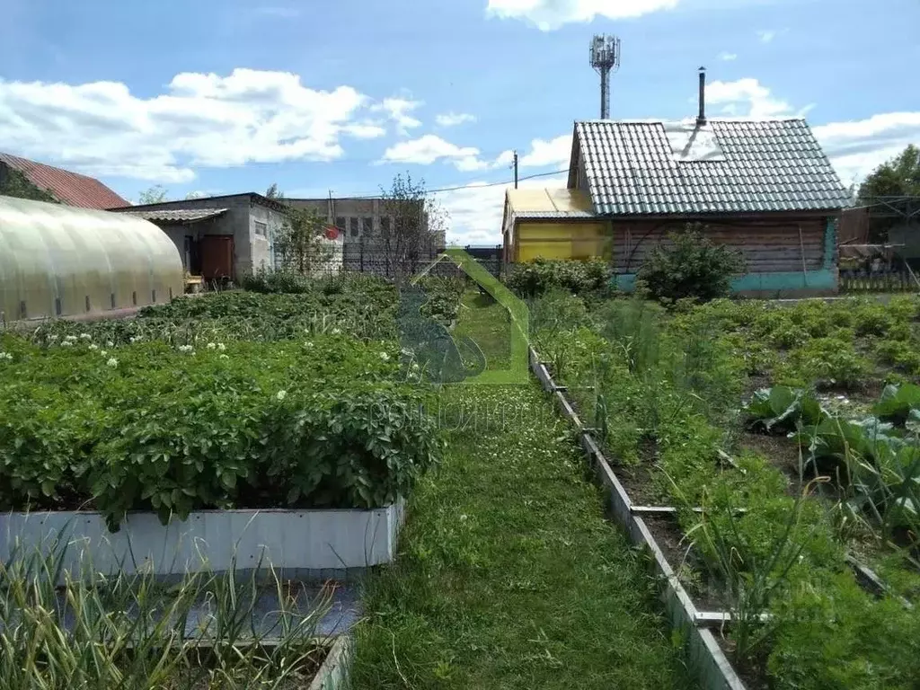 Участок в Самарская область, Шигонский район, с. Суринск Советская ... - Фото 1