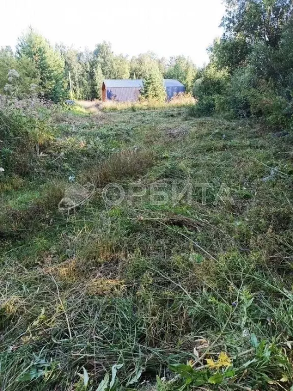 Участок в Тюменская область, Тюменский муниципальный округ, Москвичка ... - Фото 1