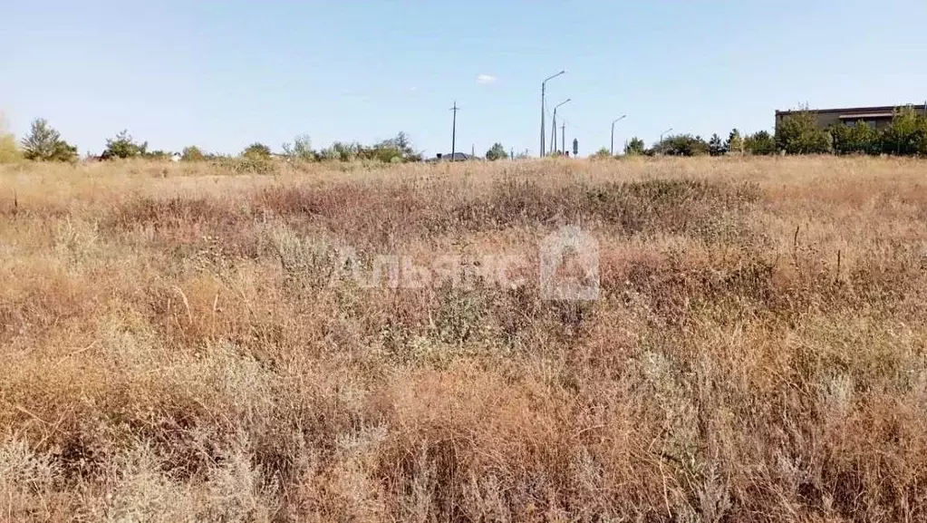 Участок в Ростовская область, Белокалитвинский район, Нижнепоповское ... - Фото 1