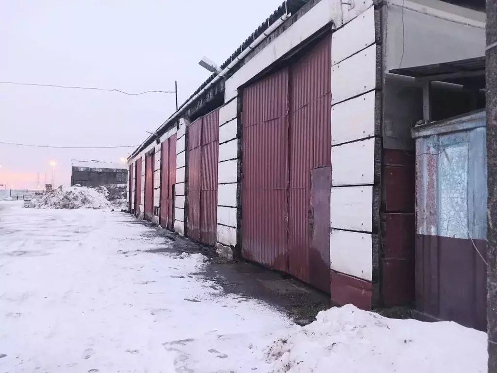 Склад в Санкт-Петербург пос. Шушары, Московское ш., 201К (500 м) - Фото 1