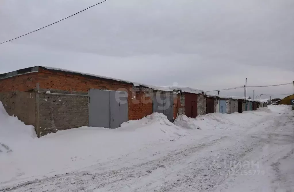 Гараж в Тюменская область, Тюмень Мелиораторов мкр, ул. Голышева, 4Бс2 ... - Фото 1