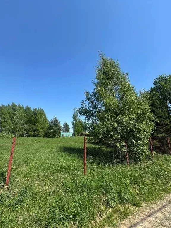 Участок в Московская область, Ступино городской округ, Карусель СНТ ... - Фото 1