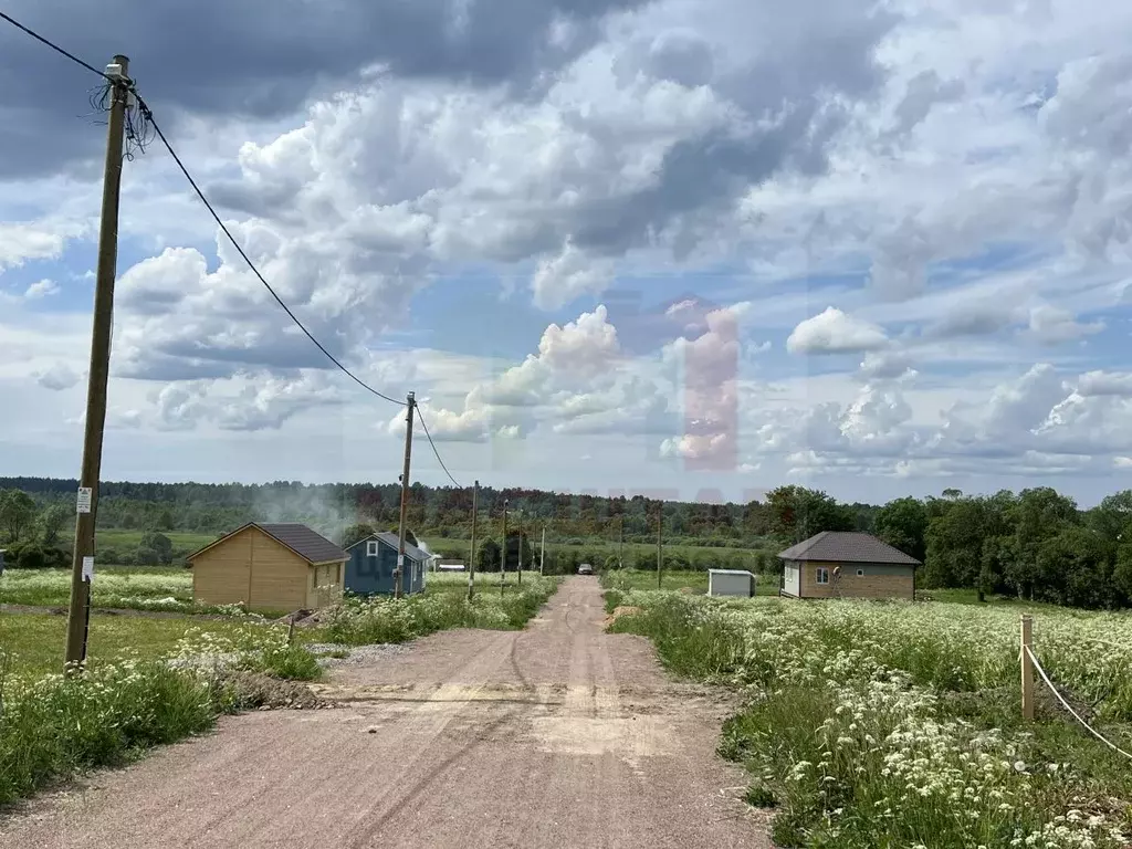 Участок в Ленинградская область, Выборгский район, Красносельское ... - Фото 2