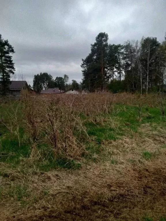 Участок в Свердловская область, Екатеринбург муниципальное ... - Фото 2