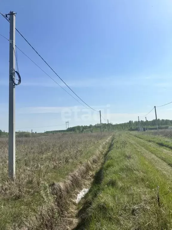 Участок в Тюменская область, Тюменский муниципальный округ, с. Кулига, ... - Фото 1