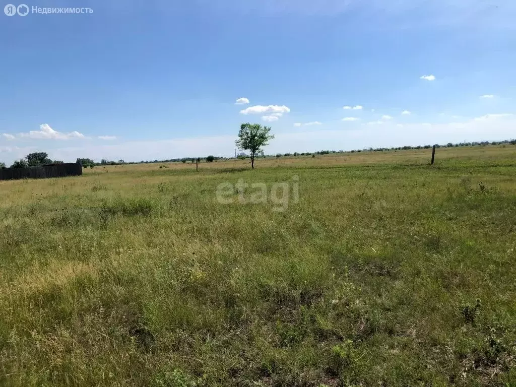 Участок в село Калинино, садоводческое некоммерческое товарищество ... - Фото 1