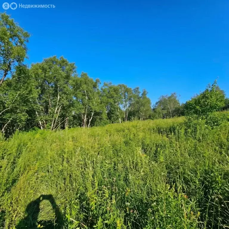Участок в село Суражевка, Грибная улица, 54 (18 м) - Фото 1