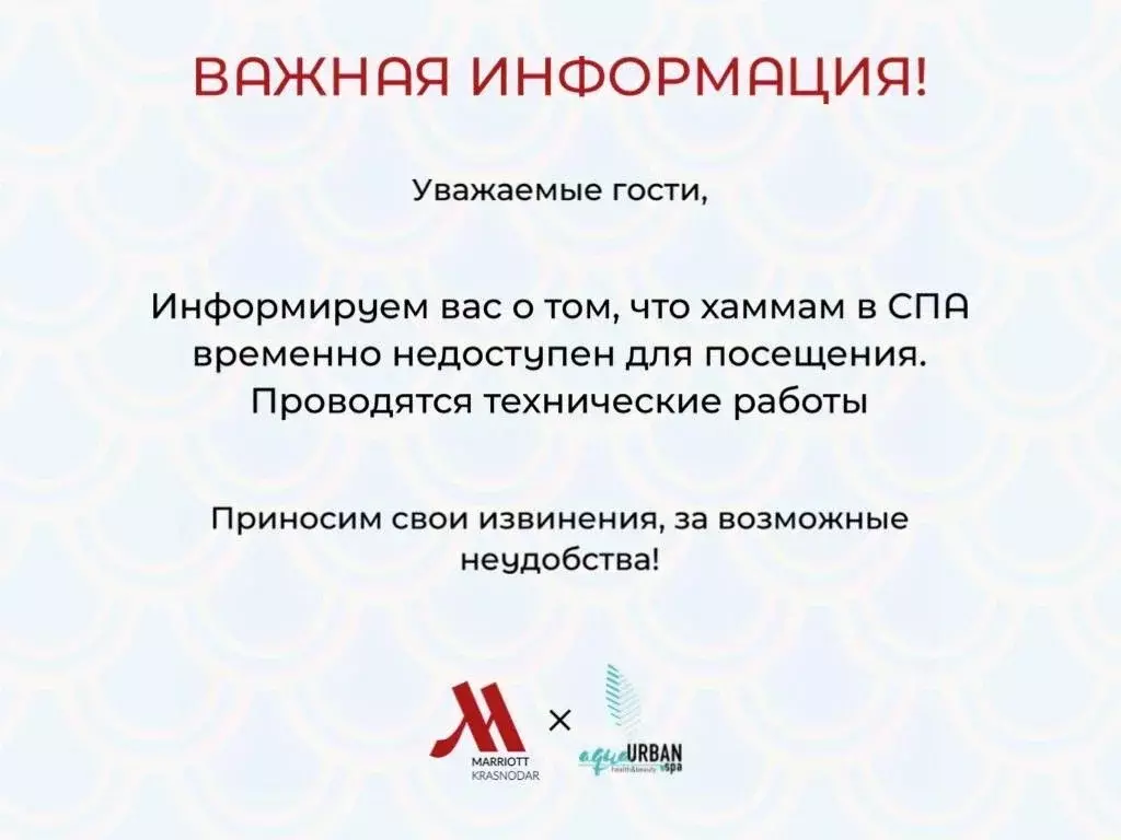 Комната Краснодарский край, Краснодар Красная ул., 120 (29.0 м) - Фото 2