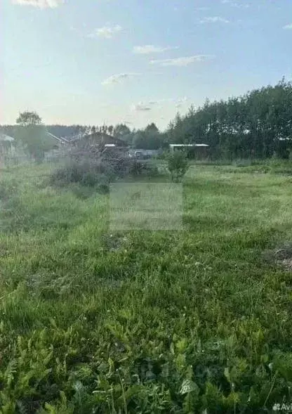 Участок в Московская область, Наро-Фоминский городской округ, Облака ... - Фото 2