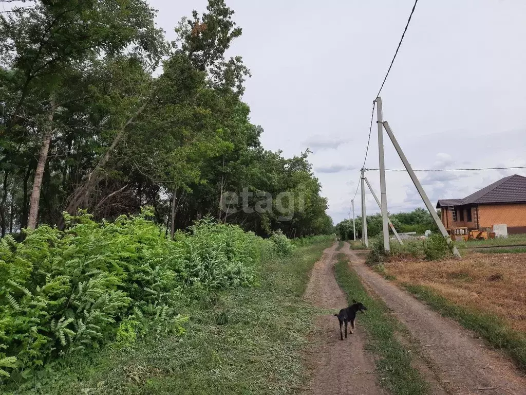 Участок в Белгородская область, Яковлевский муниципальный округ, с. ... - Фото 1