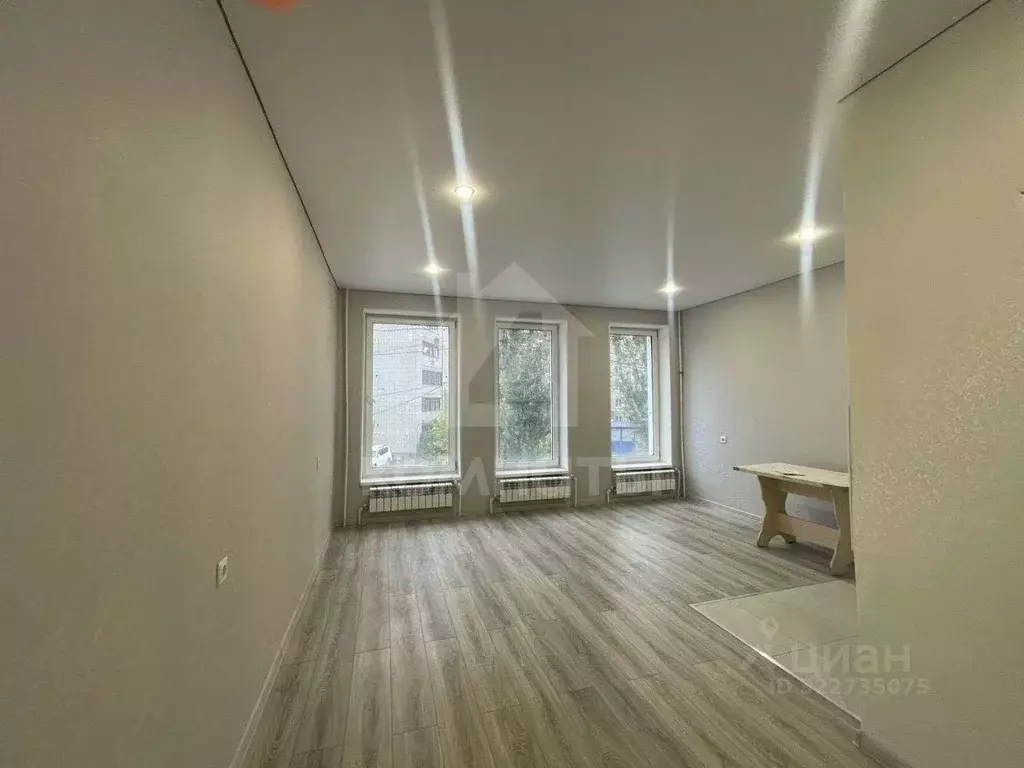 Студия Воронежская область, Воронеж просп. Патриотов, 1Д (26.2 м) - Фото 2