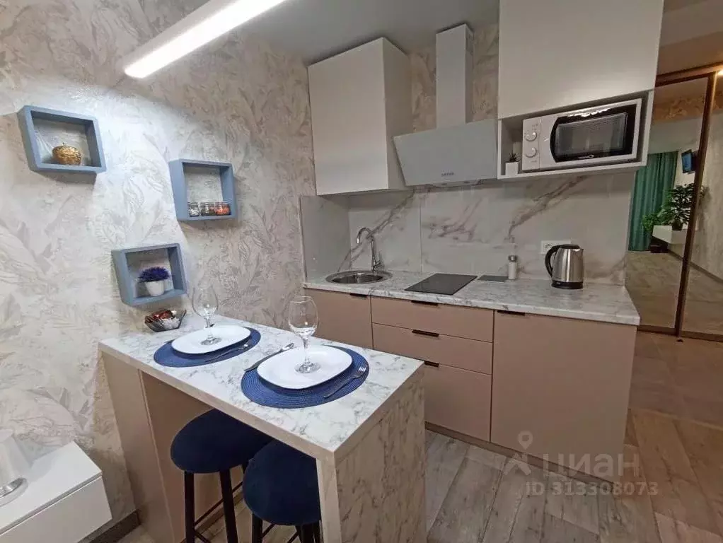 Студия Ивановская область, Иваново Видный мкр, 4 (31.0 м) - Фото 2