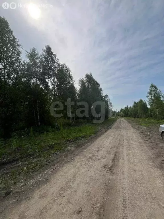 Участок в Майминский район, село Кызыл-Озек (100 м) - Фото 1