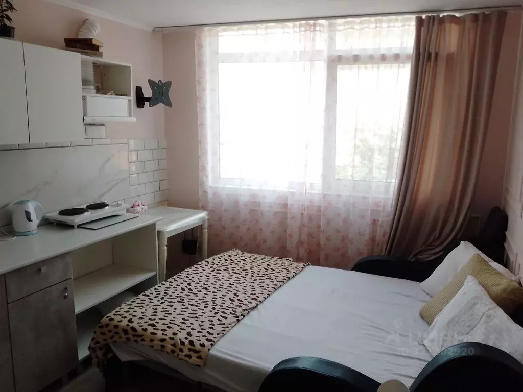 Студия Краснодарский край, Сочи ул. Верхняя Лысая Гора, 10Г/3 (23.0 м) - Фото 2