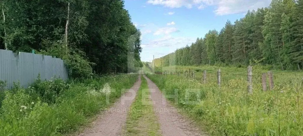 участок в ленинградская область, всеволожский район, бугровское . - Фото 0