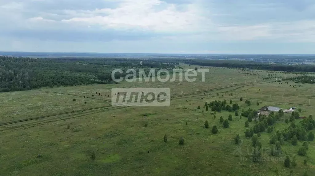 Участок в Челябинская область, Сосновский район, Кременкульское с/пос, ... - Фото 0