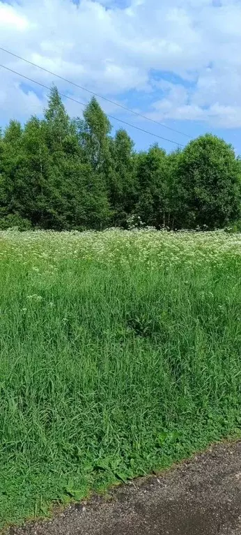 Участок 2,3 га (СНТ, ДНП) - Фото 0