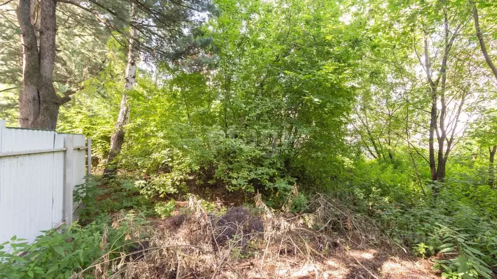 Участок в Томская область, Томск ул. Кутузова (9.9 сот.) - Фото 1