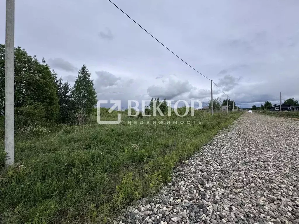 Участок в Костромская область, Кострома Веснянка садоводческое ... - Фото 1