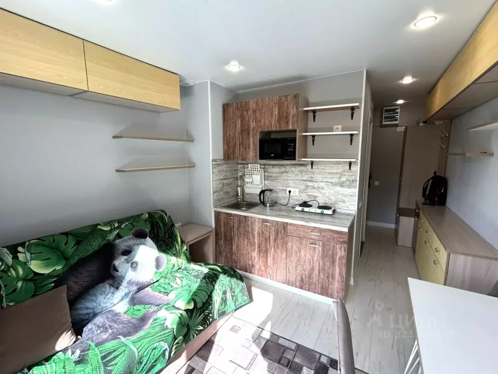 Студия Москва Жигулевская ул., 4К1 (16.0 м) - Фото 1