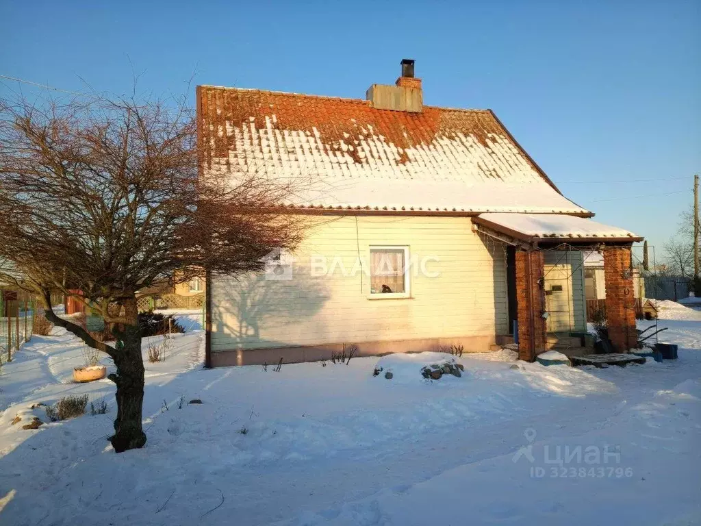 Дом в Калининградская область, Краснознаменский муниципальный округ, ... - Фото 1