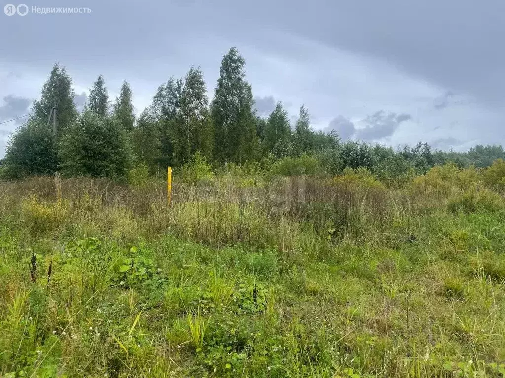Участок в Тоншалово, Радужная улица (10 м) - Фото 0