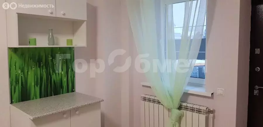 Квартира-студия: деревня Рассказовка, СНТ Рассказовка, 85с1 (21 м) - Фото 1