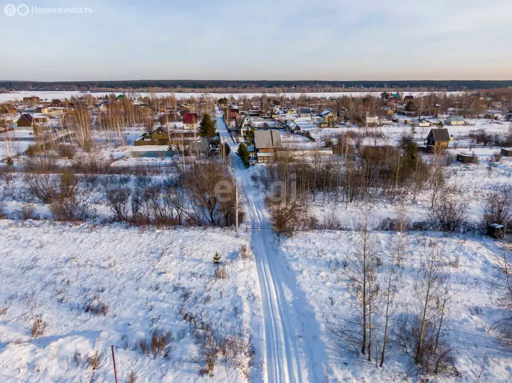 Участок в Колыванский район, СНТ Ежевичка (6 м) - Фото 1