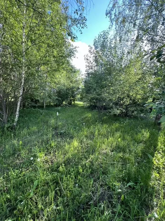 Участок в Московская область, Красногорск городской округ, Сабурово ... - Фото 2