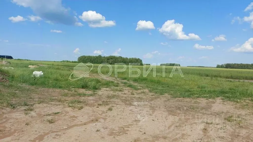 Участок в Тюменская область, Тюменский район, с. Каменка  (8.0 сот.) - Фото 0