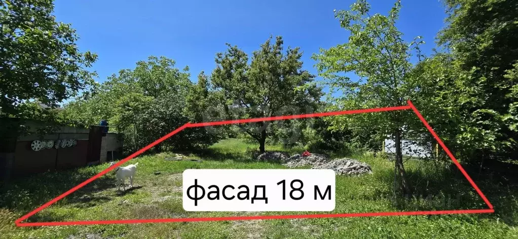 Участок в Краснодарский край, Новороссийск городской округ, ... - Фото 1