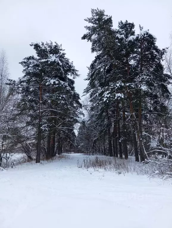 Участок в Московская область, Серпухов городской округ, д. ... - Фото 1