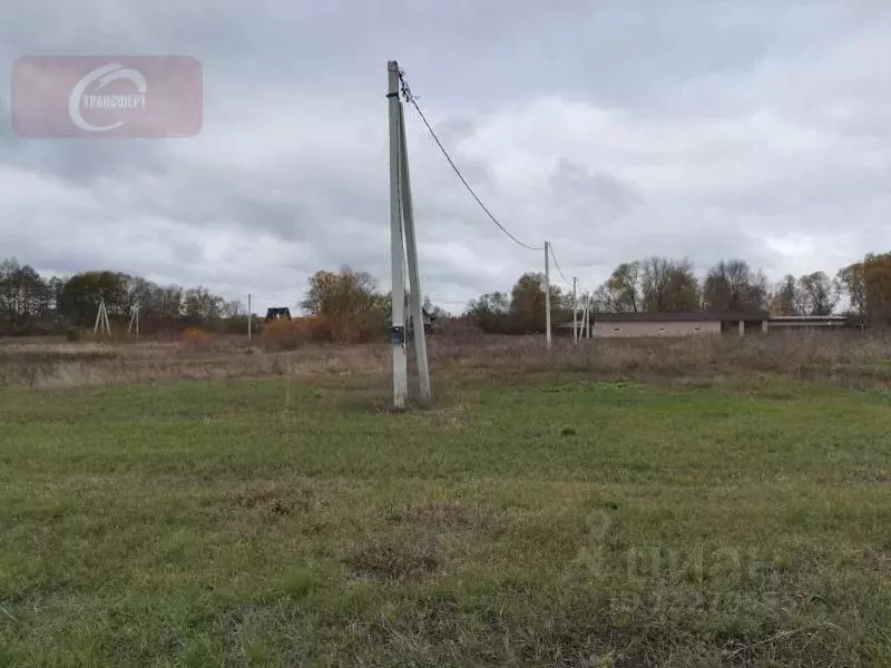 Погода орлово воронежской. Орлово воронежская область. Погода орлово воронежской. Богоявленовка воронежская область. Орлово херсонская область.