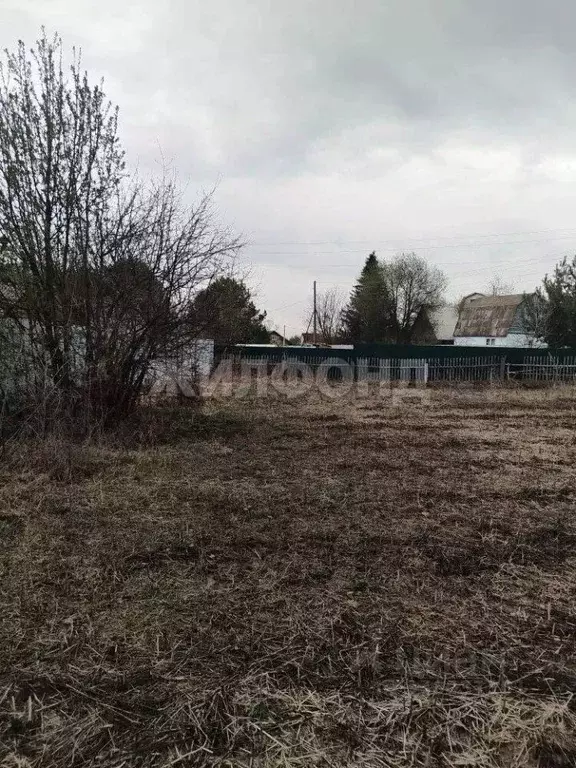Участок в Новосибирская область, Колыванский район, Черемушки СНТ  ... - Фото 1