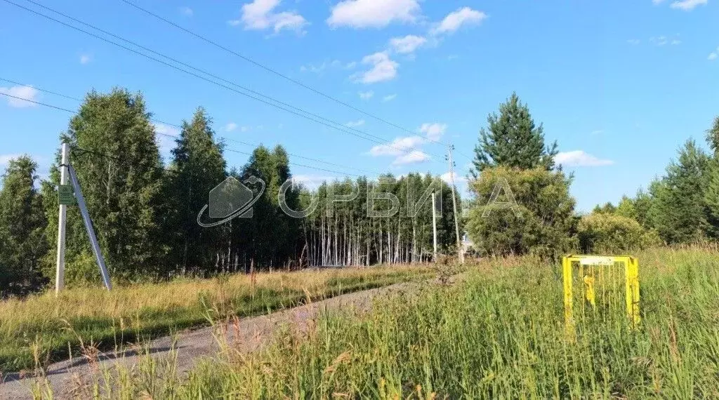 Участок в Тюменская область, Тюменский район, д. Головина Советская ... - Фото 1