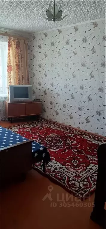 1-к кв. Брянская область, Клинцы ул. Рябка, 127 (32.1 м) - Фото 1