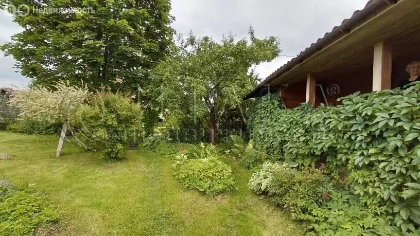 Дом в посёлок Торковичи, Торговый переулок, 10 (30.5 м) - Фото 2