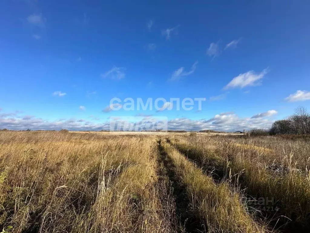 Участок в Ярославская область, Переславль-Залесский муниципальный ... - Фото 0