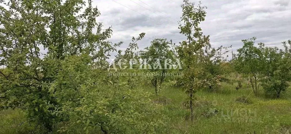 Участок в Белгородская область, Старооскольский городской округ, с. ... - Фото 2