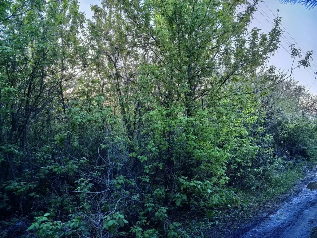 Участок в Самарская область, Кинельский район, Чубовка с/пос, Старая ... - Фото 2