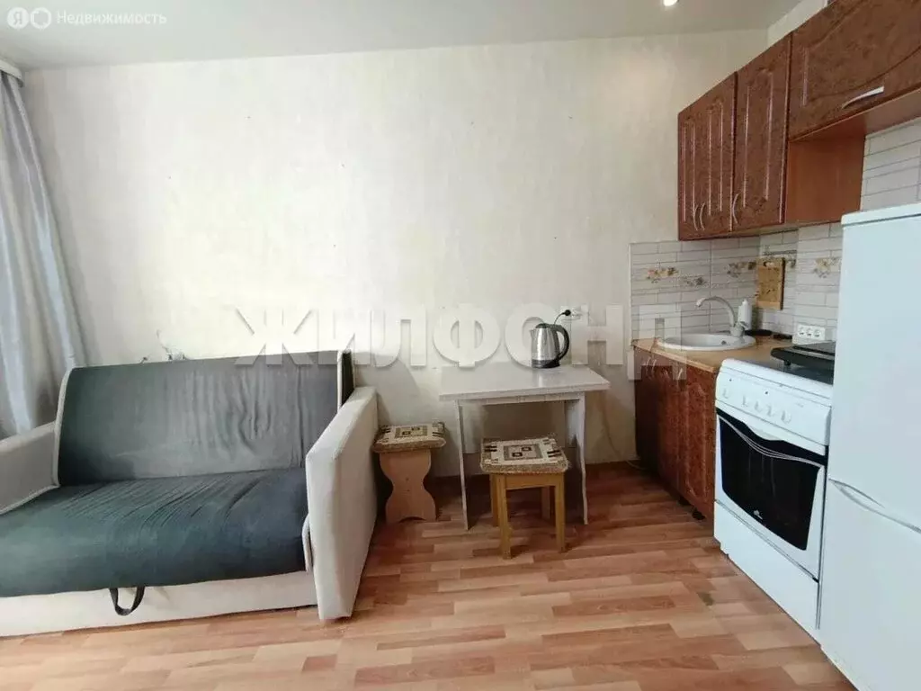 Квартира-студия: Новосибирск, улица Виктора Уса, 13 (19.3 м) - Фото 2
