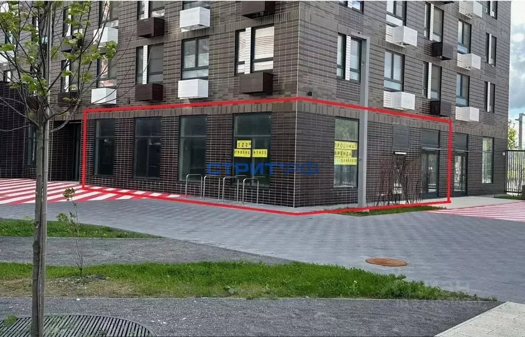 Помещение свободного назначения в Москва Салтыковская ул., 6/2к2 (123 ... - Фото 0