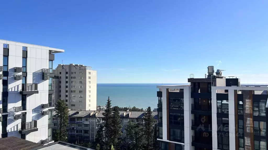 1-к кв. Краснодарский край, Сочи Курортный просп., 96Гк2 (28.0 м) - Фото 2