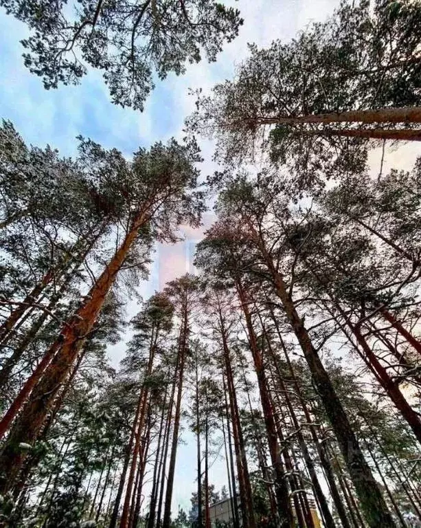 Таунхаус в Калининградская область, Пионерский Октябрьская ул., 10Г ... - Фото 2