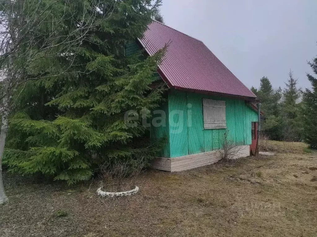 Дом в Кировская область, Юрьянский район, Подгорцевское с/пос, Янтарь ... - Фото 1